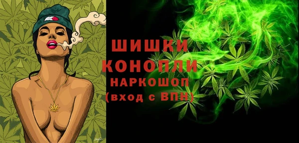 прущие грибы Анива
