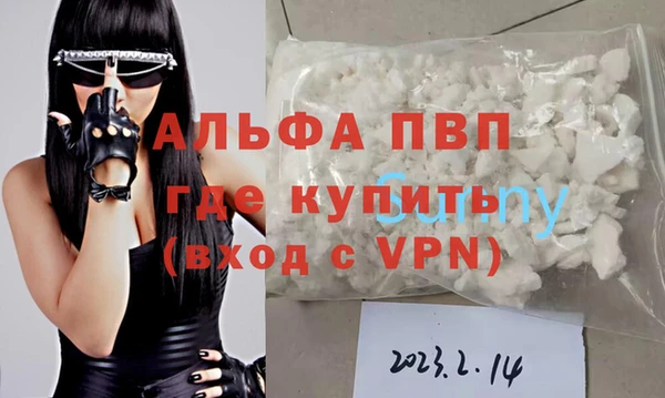 ECSTASY Магас