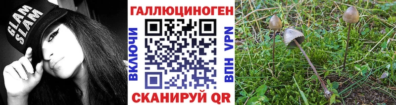 OMG зеркало  магазин  наркотиков  Сухиничи  Галлюциногенные грибы Magic Shrooms 